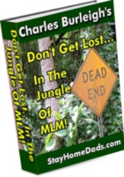 Product picture Don‘t Get Lost In The Jungle of MLM