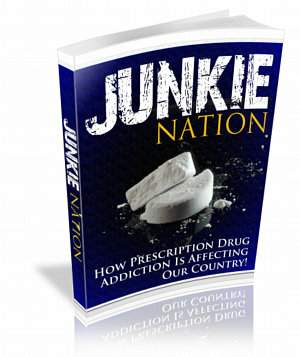Product picture Junkie Nation