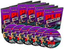 Product picture PLR For Newbies Videos