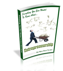 Product picture Entrepreneurship  PLR