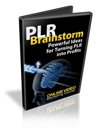Product picture PLR Brainstorm  MRR